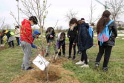 31 marzo 2022 - Plantacion árboles CEIP Príncipe de Asturias (4)